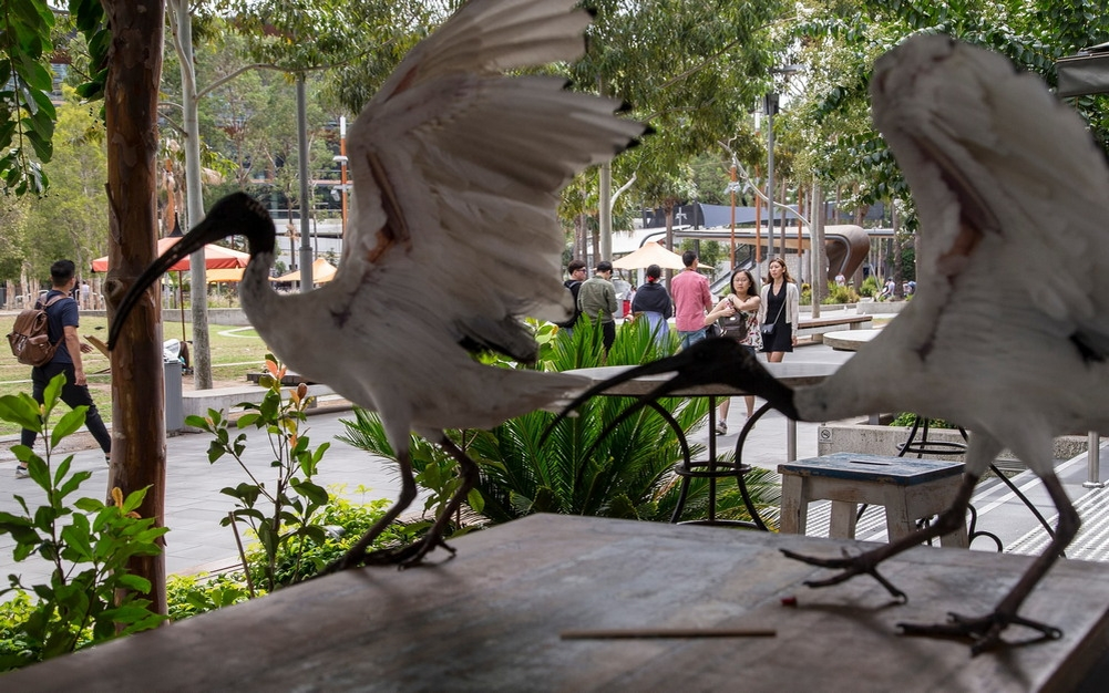 Вперёд! В атаку на этих людишек!