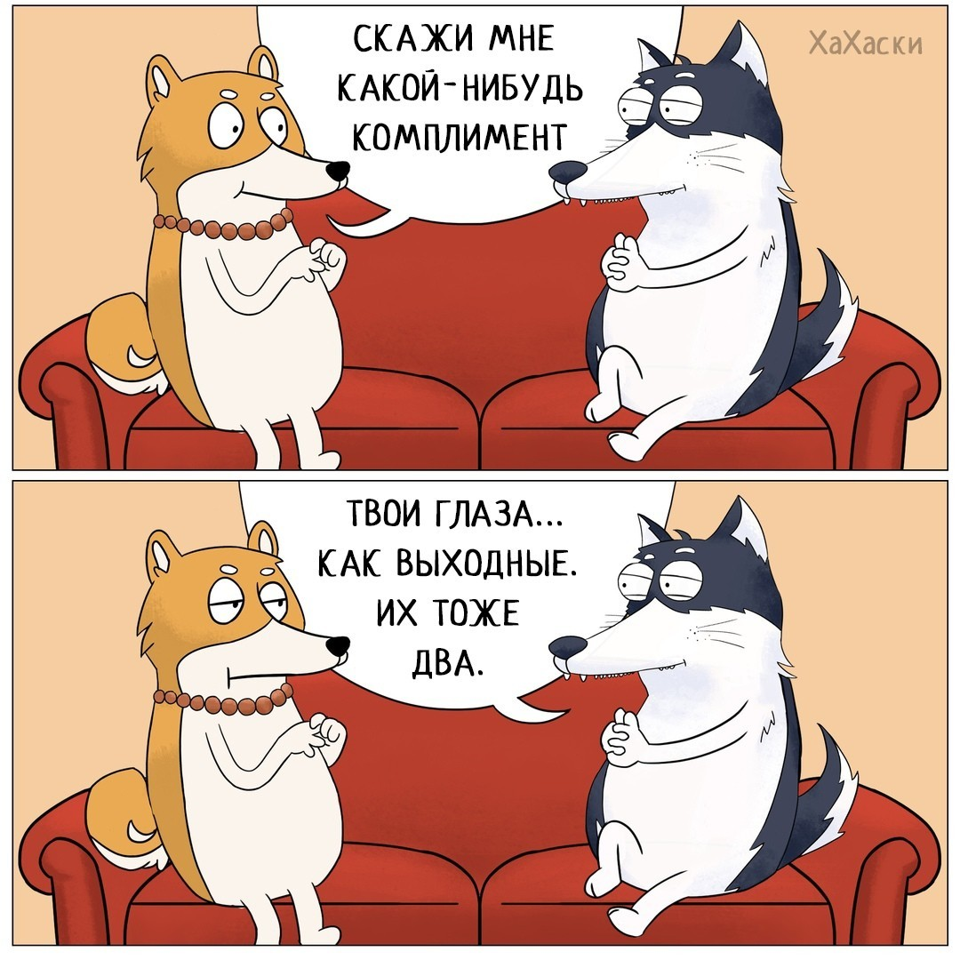 Фото из открытых источников в интернете. Юмор