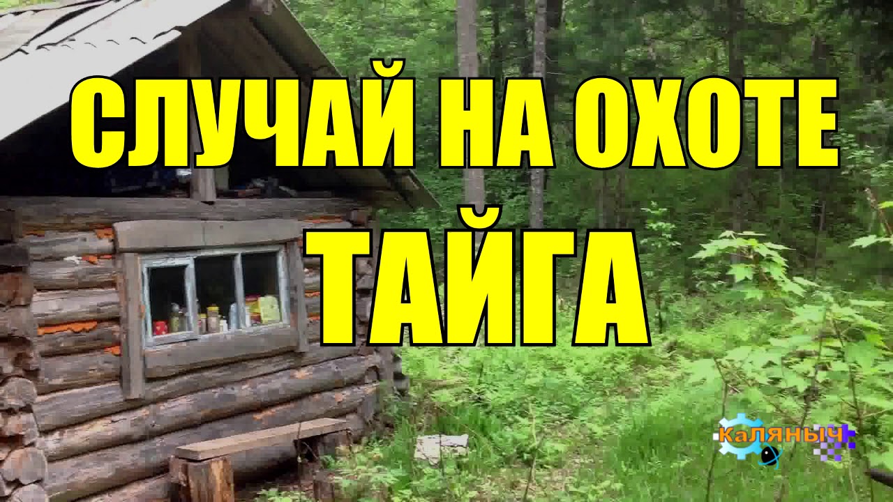 Случай НА Охоте | Рассказ Охотника | Тайга | КАЛЯНЫЧ | Дзен