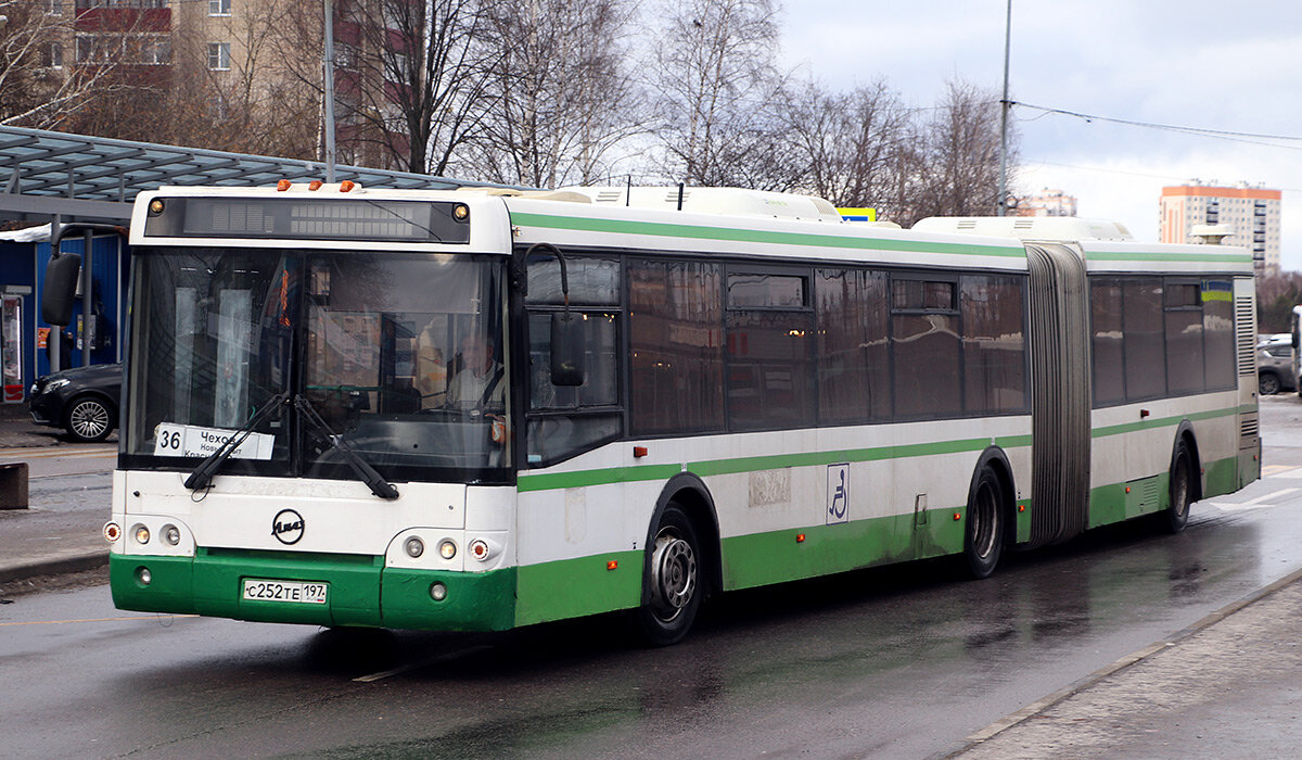 Автор фото: gusakyur. Источник — fotobus.msk.ru