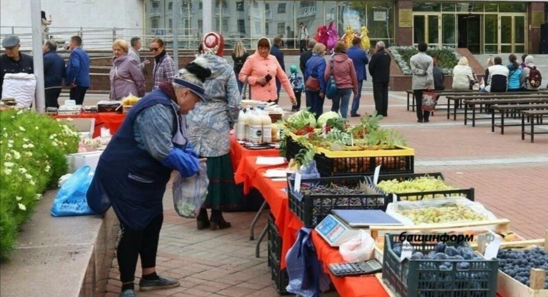 Фото: ИА Башинформ 