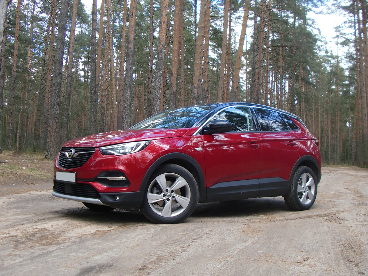 Opel Grandland X. Фото из архива CarExpert.ru