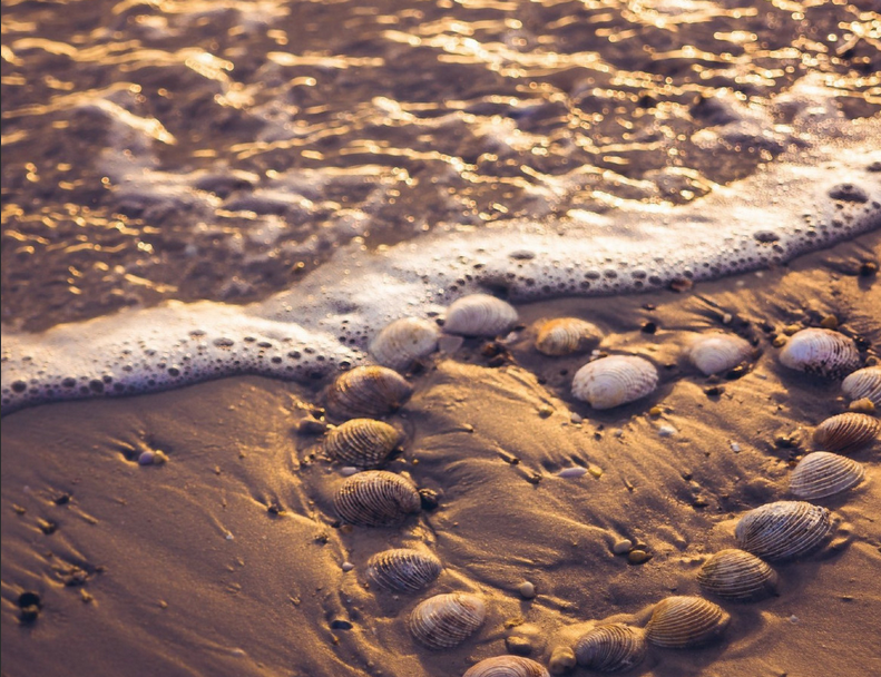 Сказать о чувствах можно без слов                         (изображение из открытых источников)