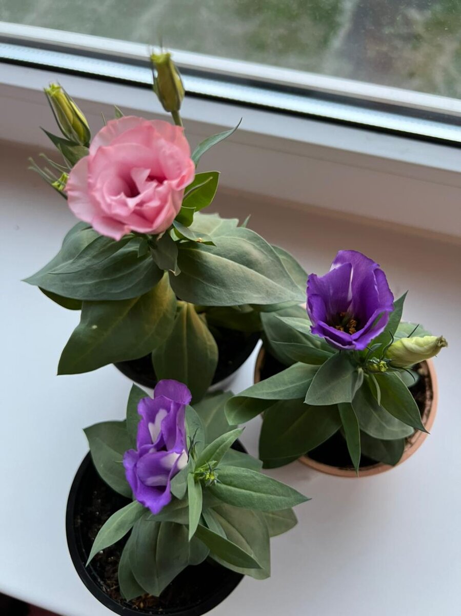 Фото из личного ахрива