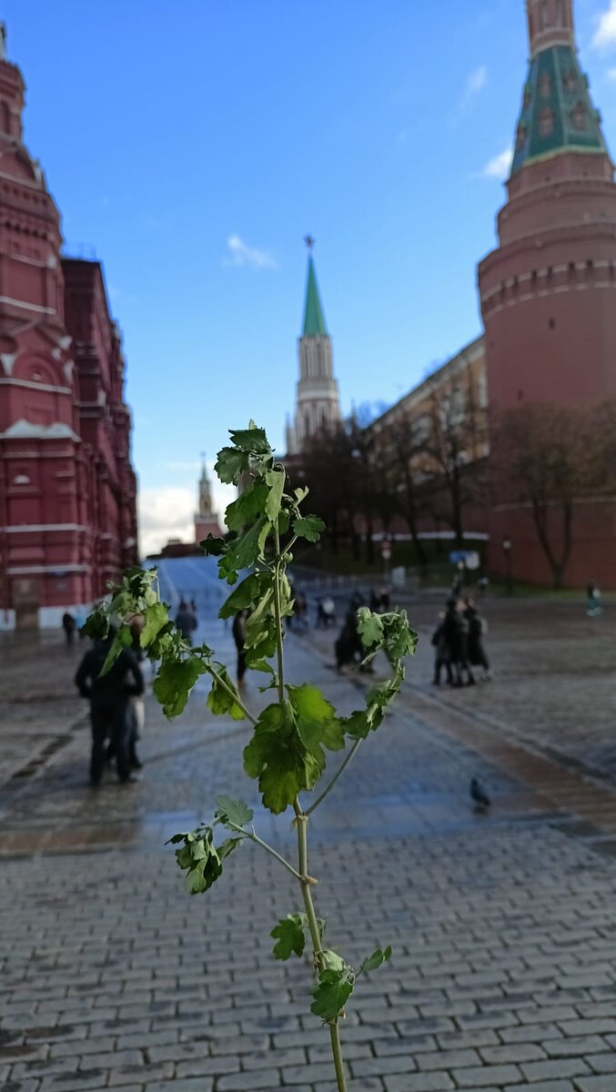 12 ноября 2022 года, суббота