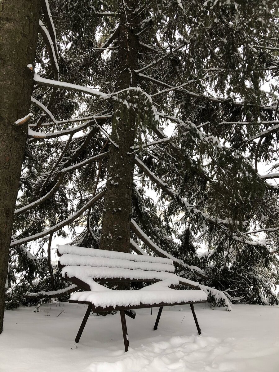 фото из домашнего архива