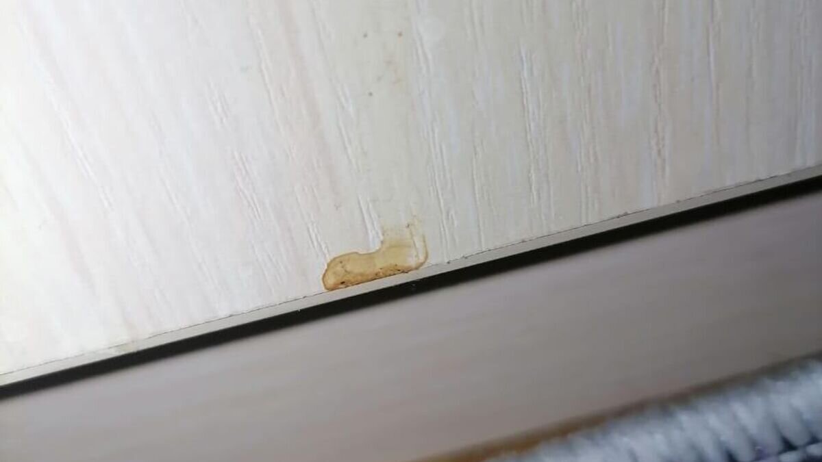    Следы крови на стенах© Фото предоставлено родными погибшей