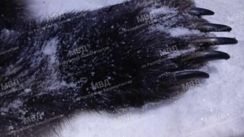     У задержанного прошел обыск, в ходе которого обнаружили настоящий арсенал.