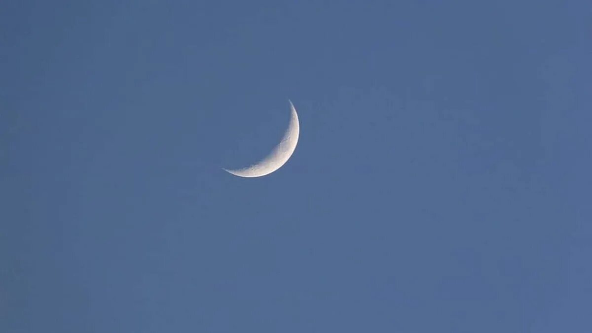 Фото: piqsels.com