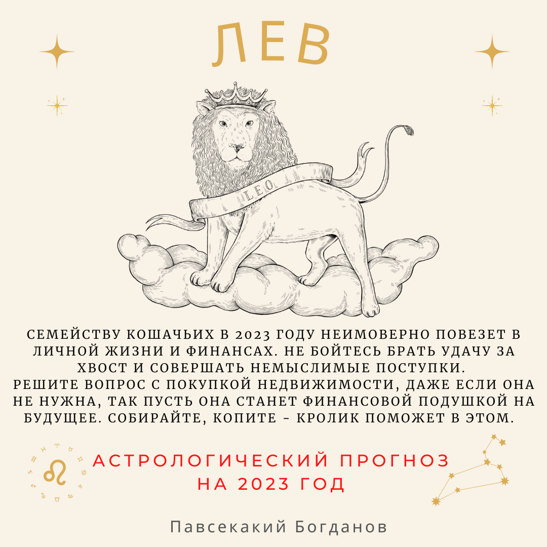 Гороскоп льва 2023 год. Предсказание для Льва на 2023 год. Год кролика прогноз 2023 астрологический. Предсказания на 2023. 2023 Год прогноз астрологов.