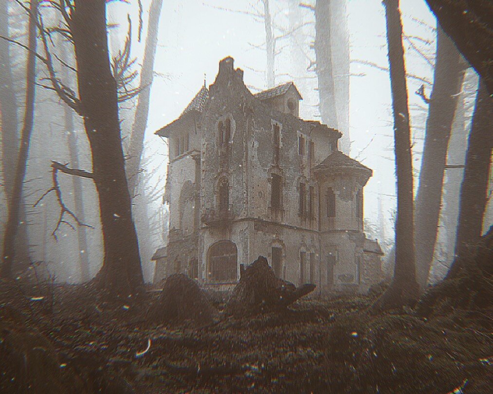 Яндекс Картинки