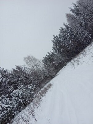 Фотография из личного архива автора