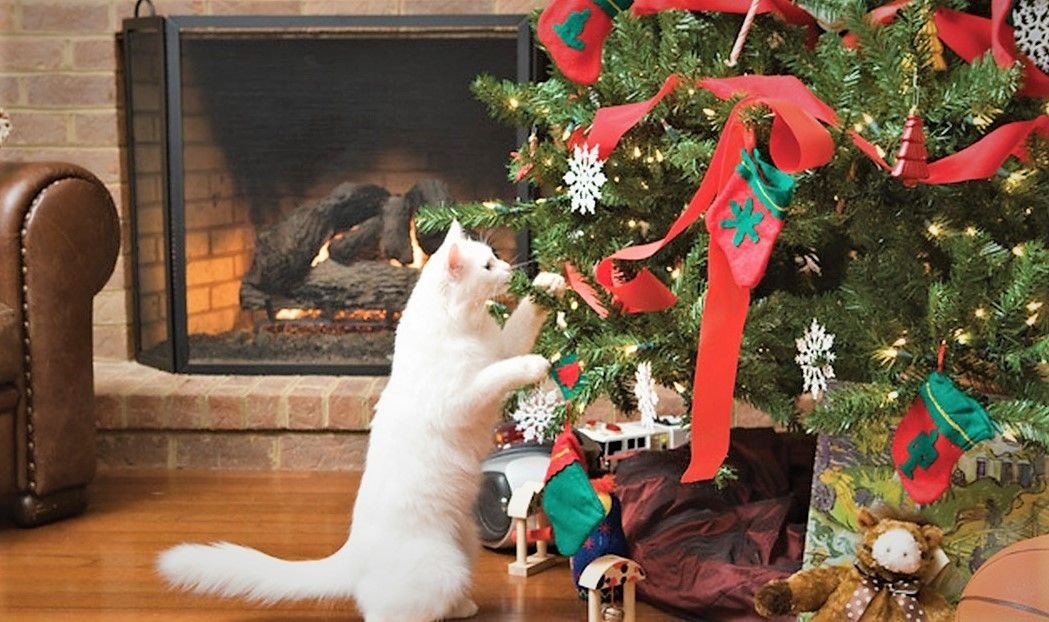 Источник: Яндекс. картинки