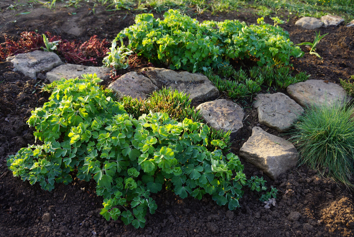 Апрель 2022г.