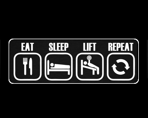 Это мои планы на текущий год. Конечно, у меня есть другие дела, которые мне придётся делать, но, в свободное от приятных и не очень обязанностей время я собираюсь в этом году вести унылый образ жизни человека со спортом головного мозга. Вот это мне интересно, что получится в конце, вот это я понимаю, планы наполеоновские. 