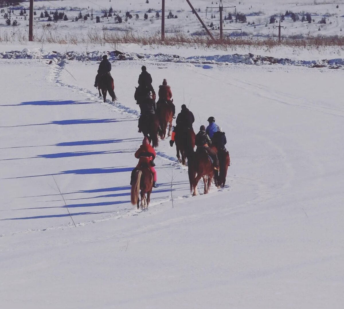 Зимний маршрут на лошадях