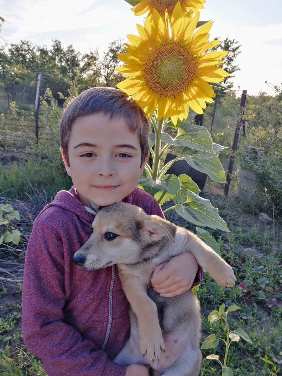 Новочеркасск. На даче. Фото из архива автора. 