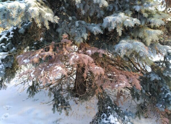    Фото: Екатерина Иванова.UG.RU