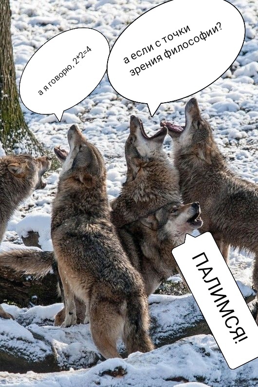 Волки)) 