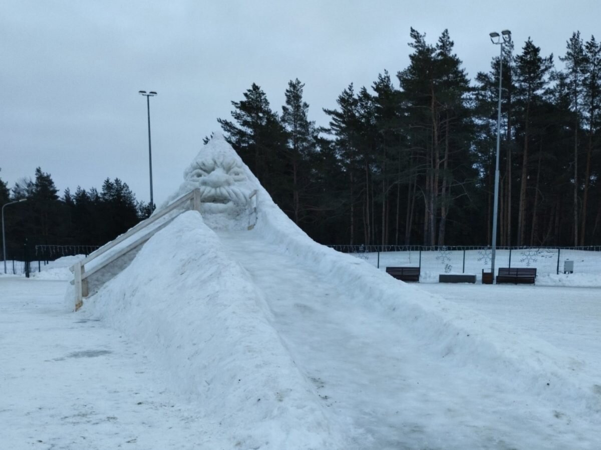 заельцовский парк зимой