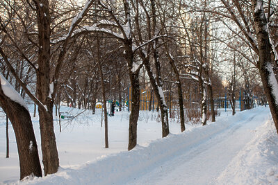    Зима в Московском регионе ©Мария Шуревская РИАМО