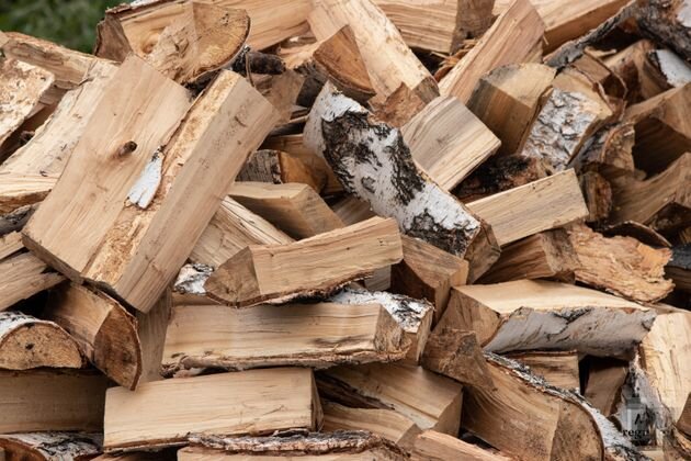 В киевских лесопарках с помощью дорогого импортного оборудования пилят ...