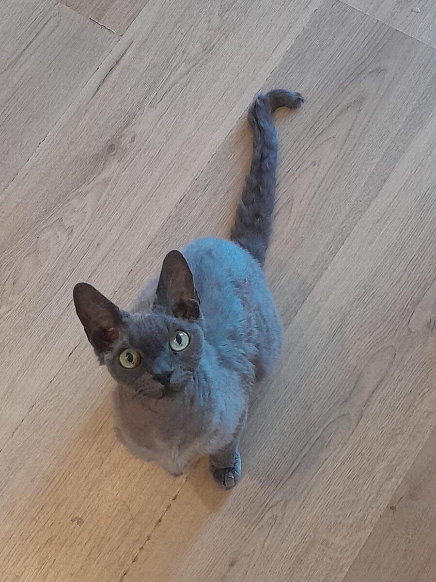 Вопросительный взгляд. "Мама, а что ты делаешь?"


