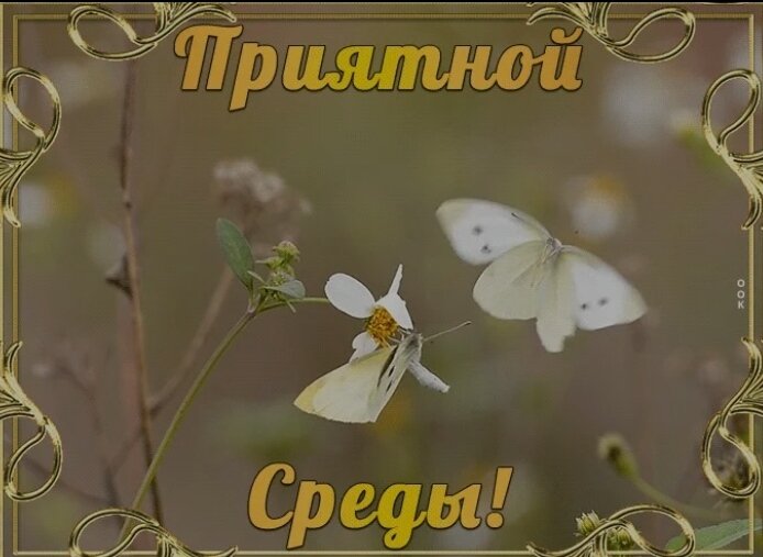 Источник Яндекс картинки