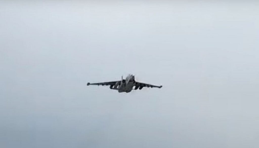    Фото: Скриншот видео Елена Стеценко