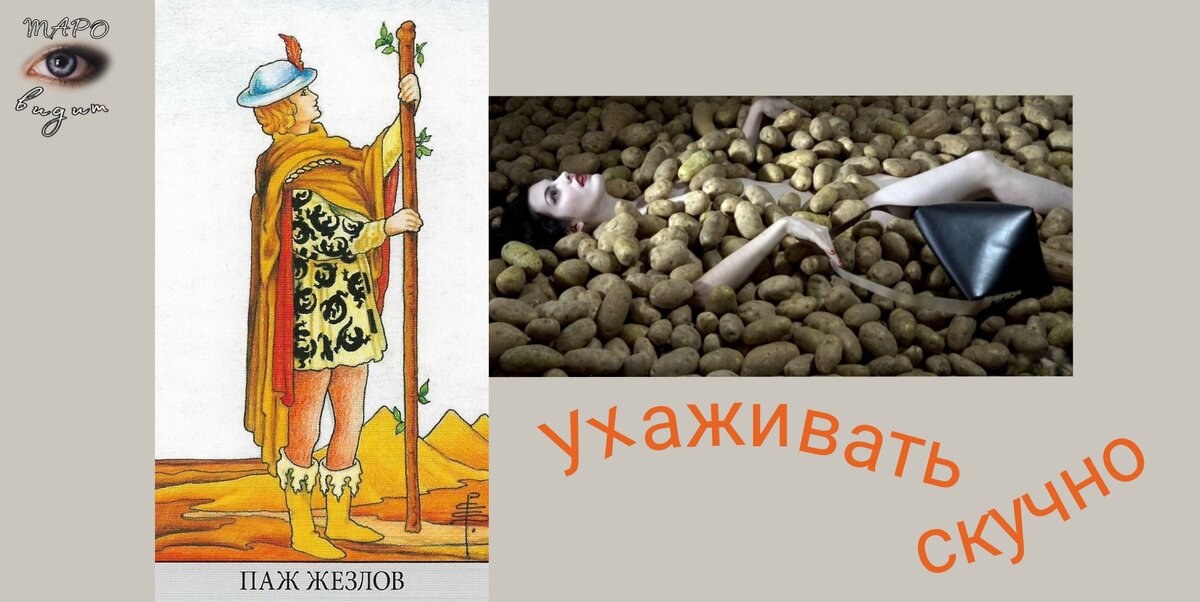 Паж жезлов таро значение чувства. Паж жезлов внешность мужчины.
