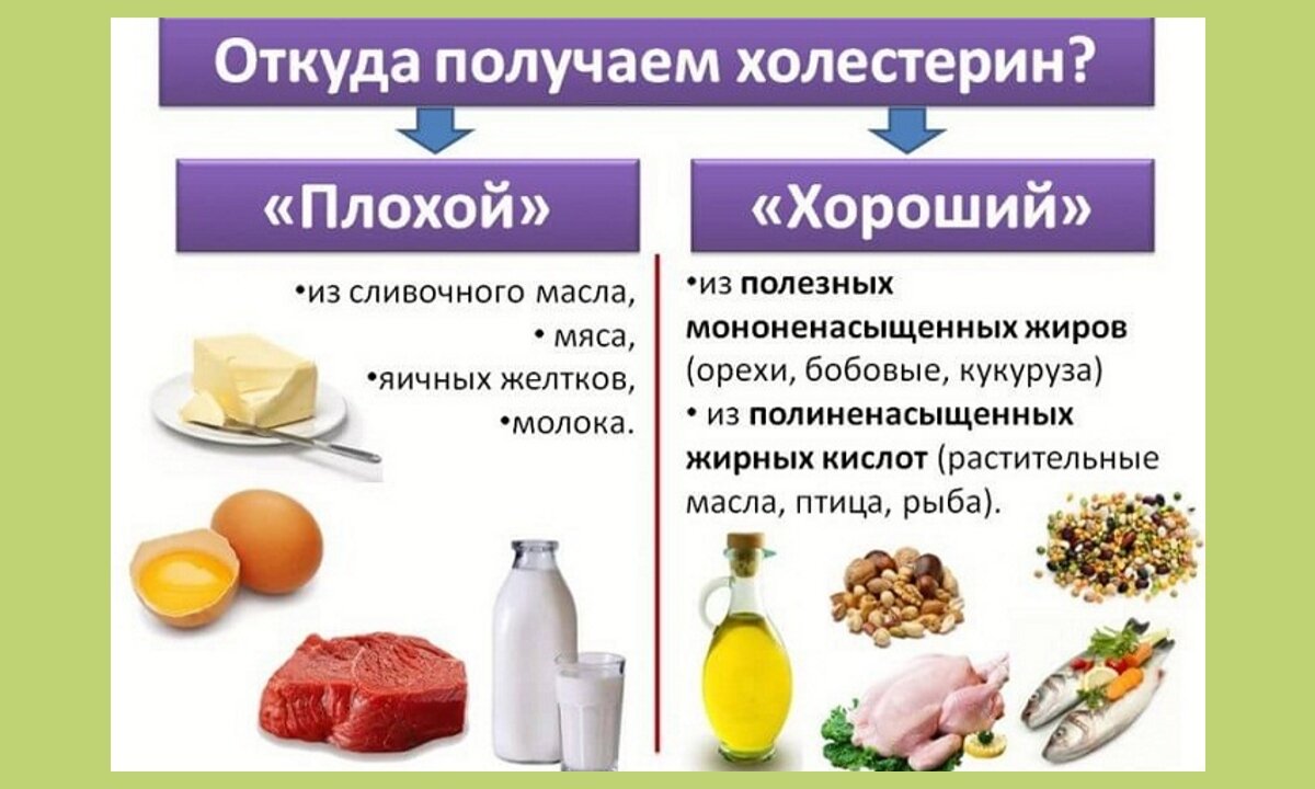 Продукты с плохим холестерином