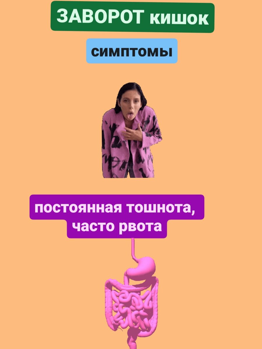 Заворот кишок Причины. Симптомы | Кратко. По сути | Дзен