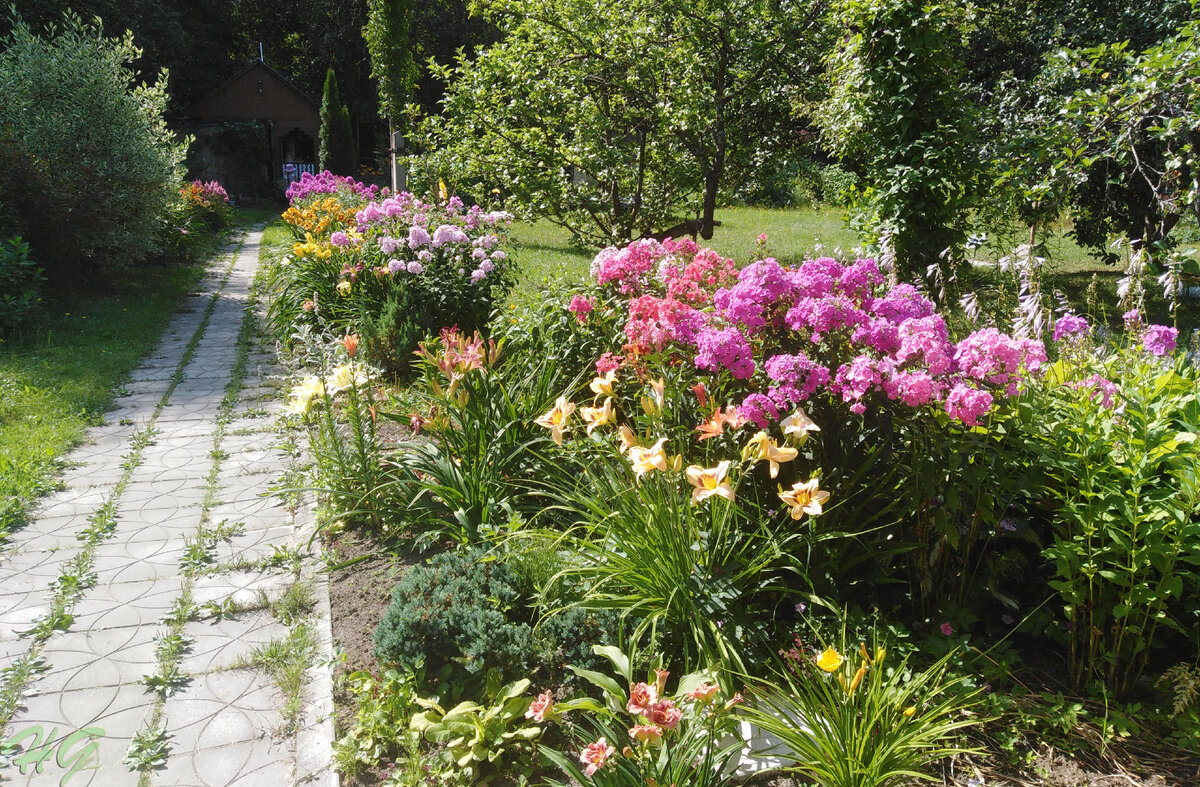 Дорожки на маминой даче. Листайте галерею