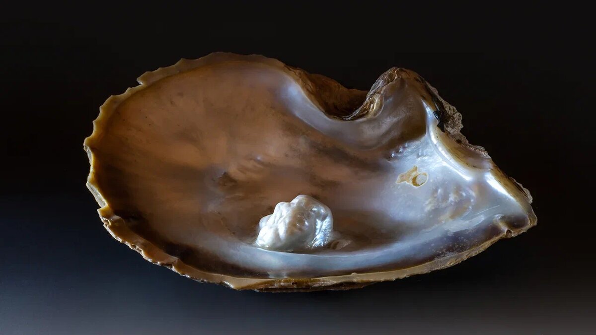 © Форпост Северо-Запад/Горный музей