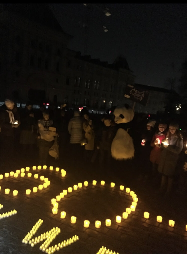 Мероприятия в парке Зарядье в Москве, 2019г