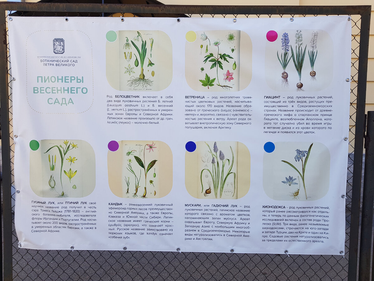 Фотография автора