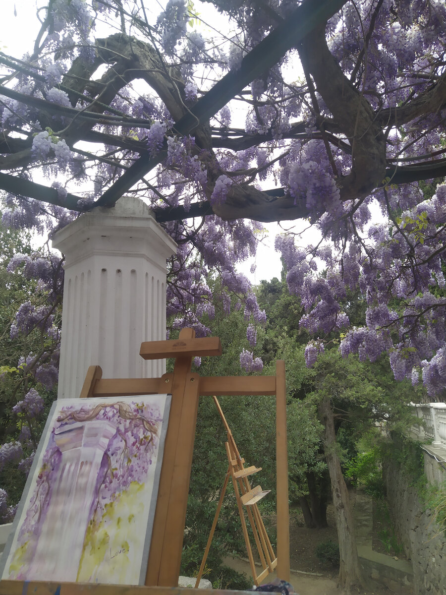 Творчество местных под глицинией