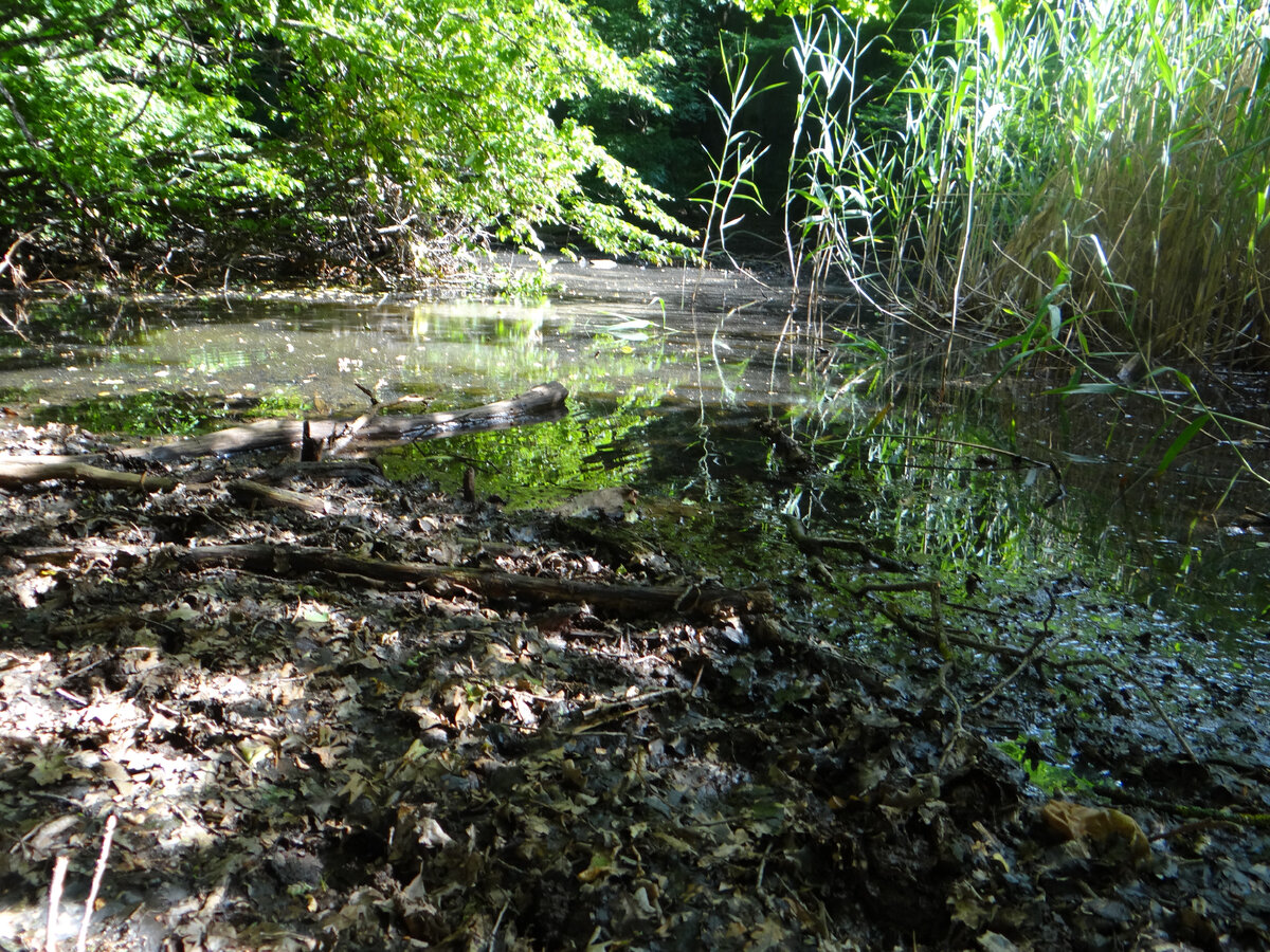 Листай дальше ----->