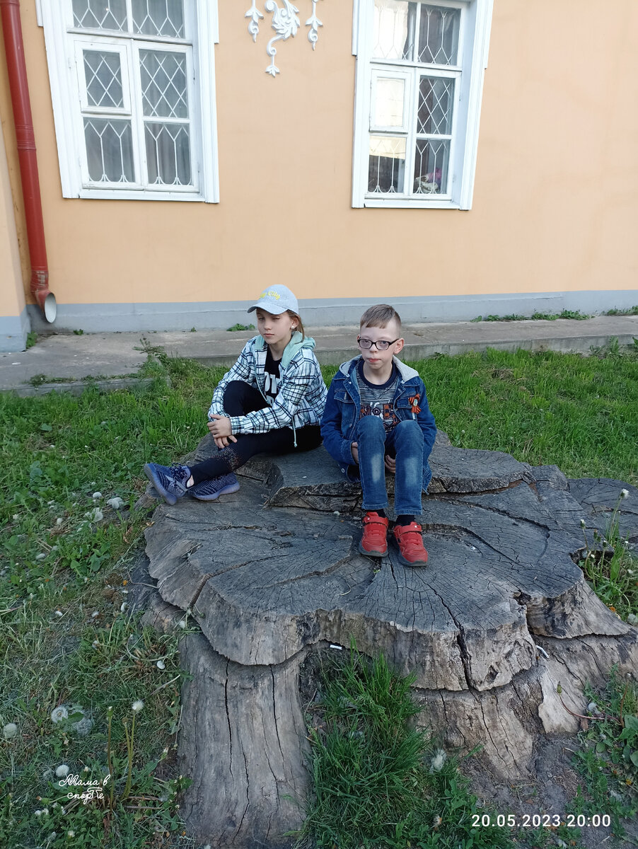 Лилиана и Максимилиан на пне некогда могучего дерева, диаметр пня около полутора метров. 