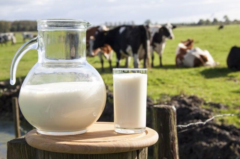 Читая этикетку при покупке молока, вы задумываетесь какой продукт в итоге выбрать в зависимости от обработки? Играет ли для вас это какую-то роль?-2