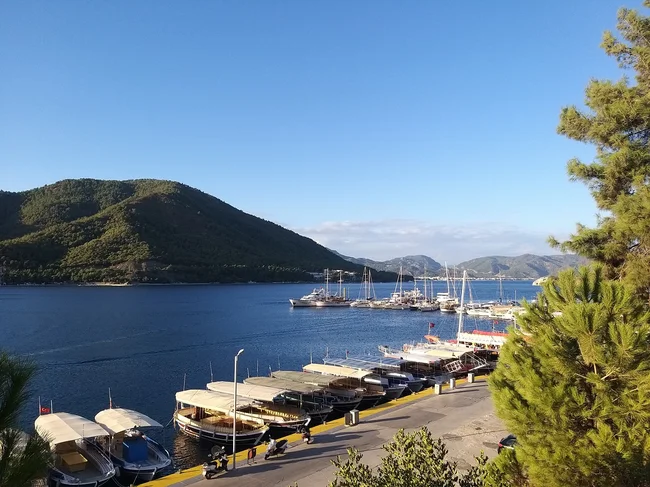 Фото: Кира Санникова/Megatyumen.ru