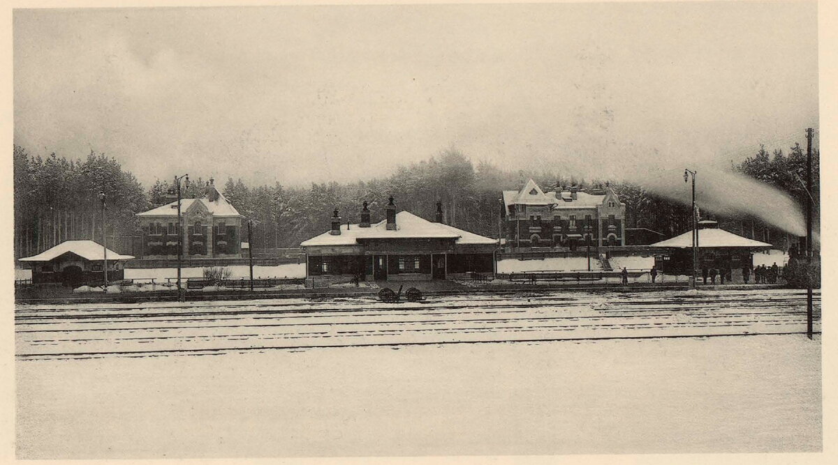 Станция «Серебряный Бор» в 1900-е... Фото: pastvu.com