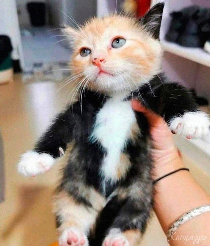 Источник: vk.com