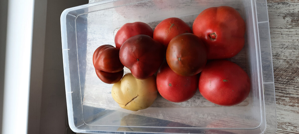 Первая коробочка собрана на продажу. Мои покупатели счастливы. 