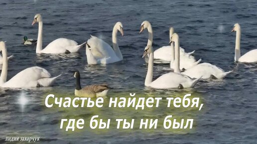 Хороший тост))) | Пикабу