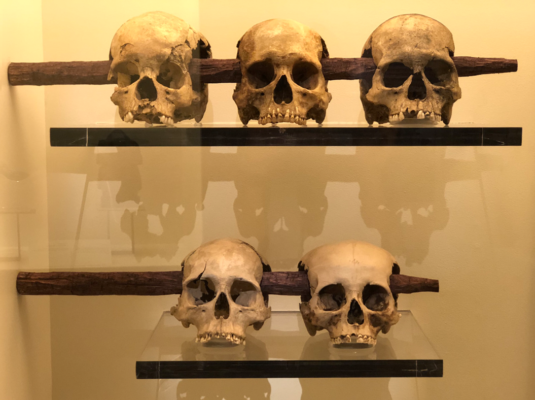 Hallazgo impactante en un antiguo sitio azteca en la Ciudad de México: ¡más de 100 calaveras desenterradas en la misteriosa Isla Calavera! ¿Qué oscuros secretos se esconden debajo?