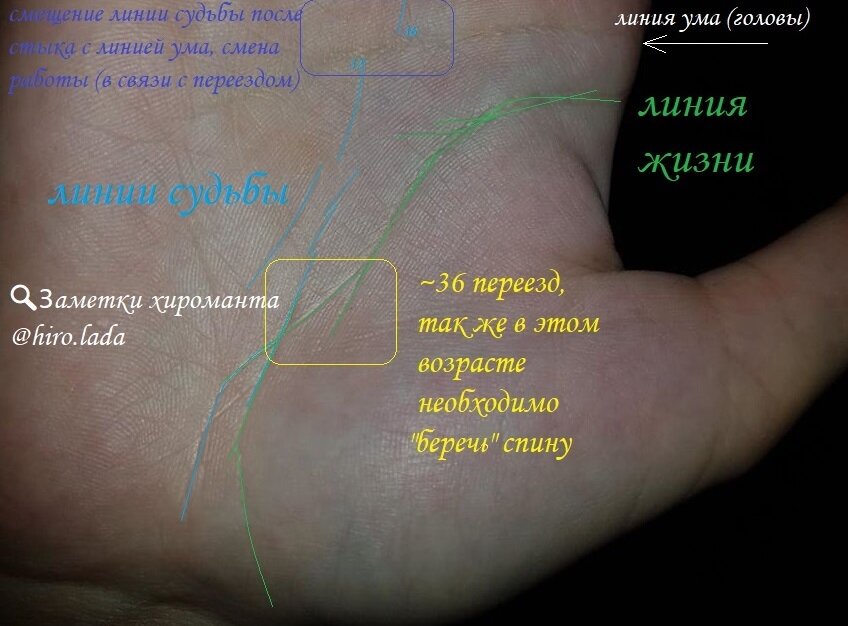 Где лини. Линия жизни. Линии судьбы. Линия жизни на руке. Линии пересекающие линию жизни.