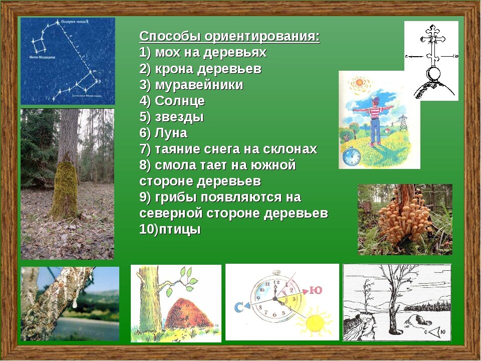 Найдите способ. 5 Способов ориентирования на местности. 8 Способов ориентирования на местности. Ориентирование на месте. Природные ориентиры на местности