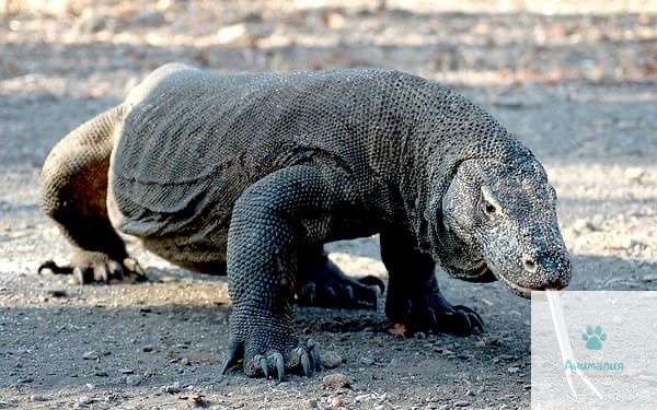 Подписывайтесь на канал! И ставьте лайки!