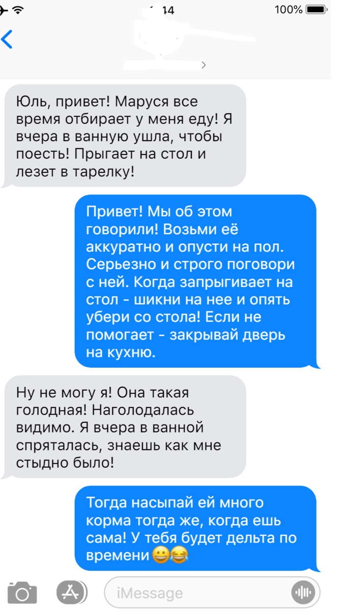 Записки ветеринара. Смешные переписки с хозяевами кошек из приюта. |  СобачьЯ жизнь | Дзен